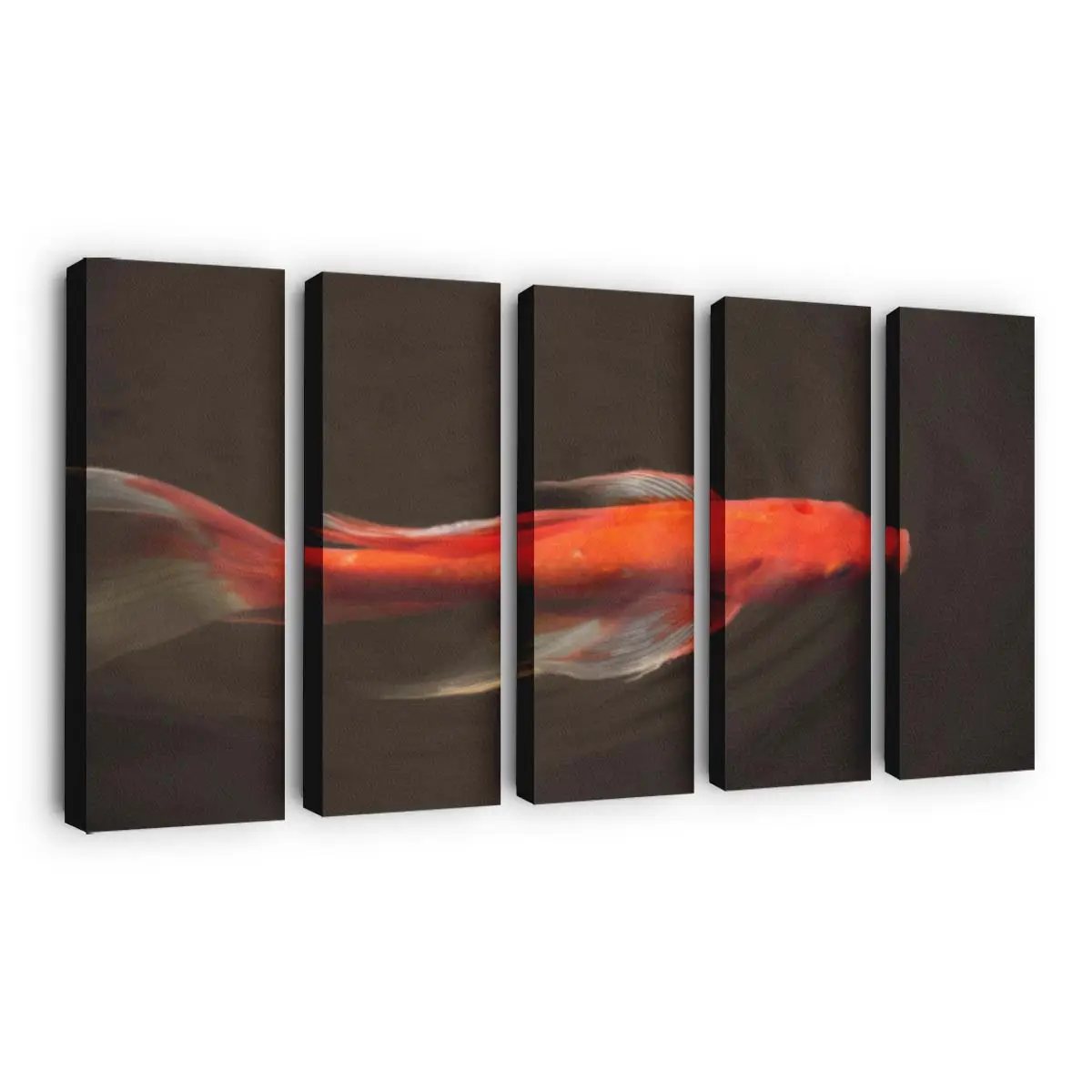 Goldener Koi gleitet durchs Wasser – Koi Leinwandbild