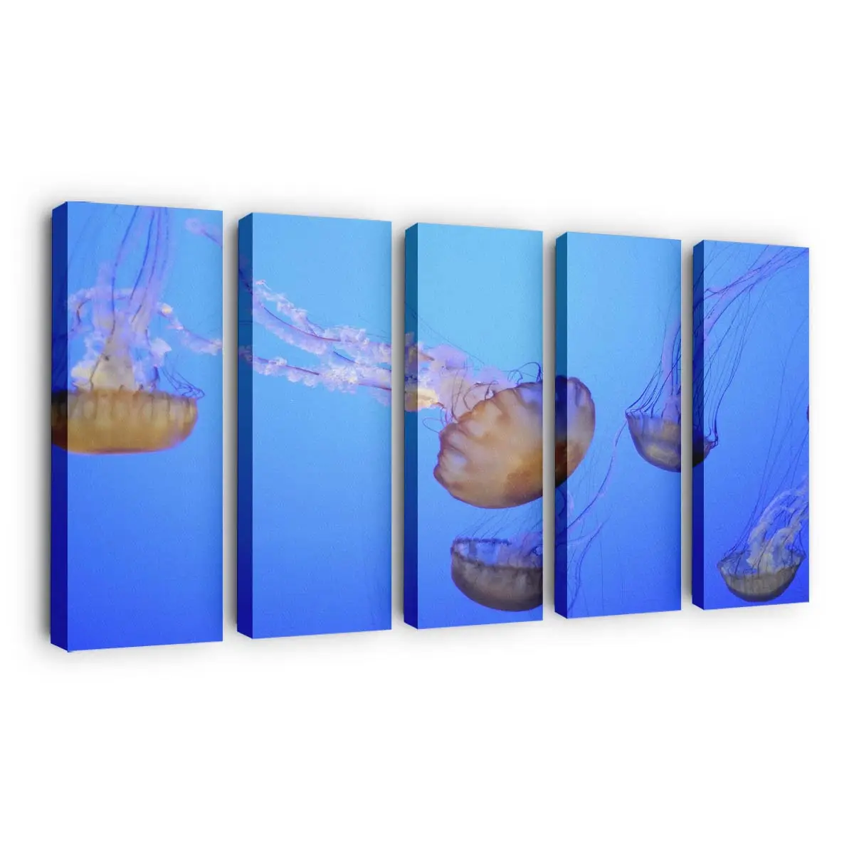 Leuchtende Neon-Qualle unter Wasser – Quallen Wandbild