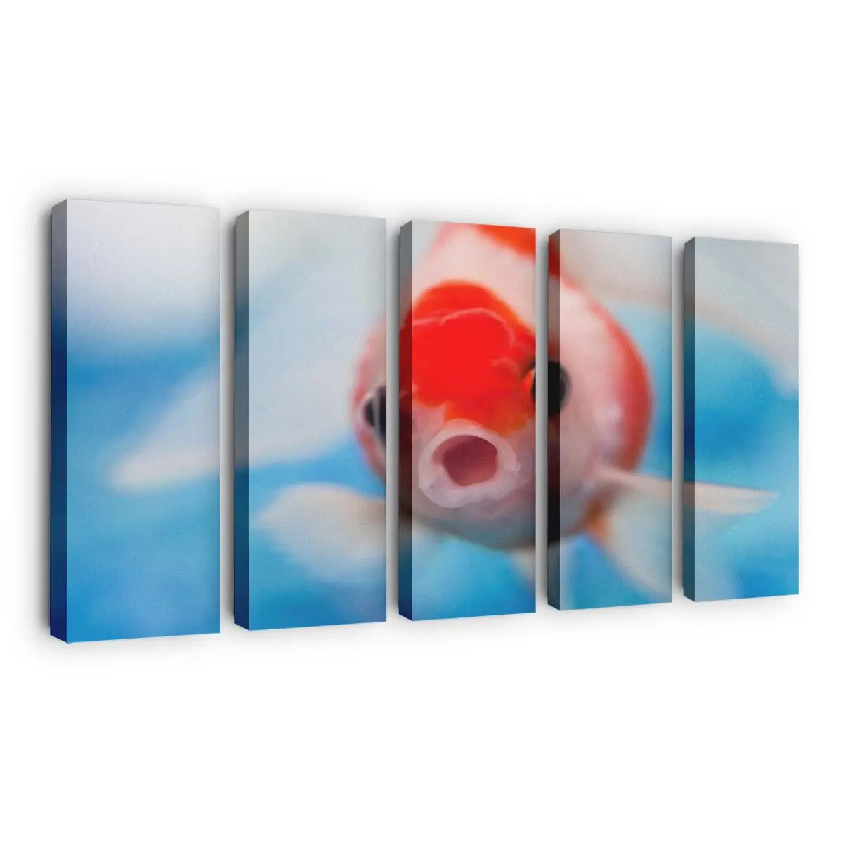 Meeresbewohner mit weit aufgerissenem Maul – Meer Wandbild