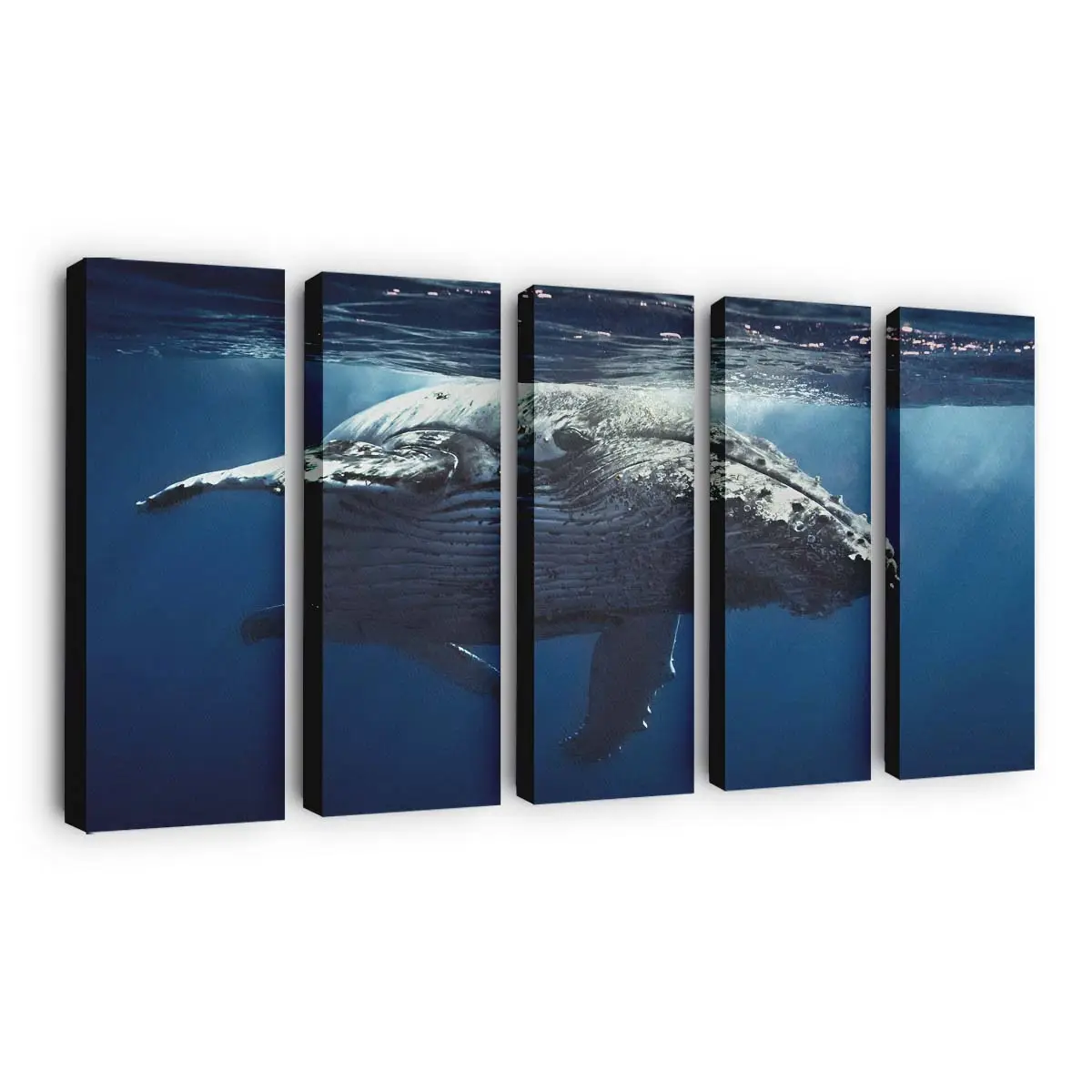 Meereslandschaft mit Korallen – Unterwasser Wandbild