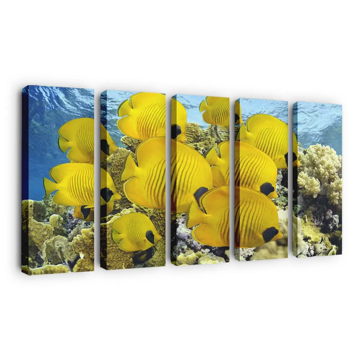 Ruhige Unterwasserlandschaft – Meereswelt Wandbild