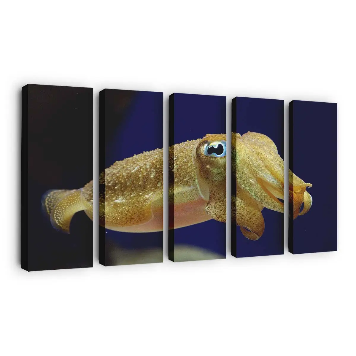 Sepia-Tintenfisch unter Wasser – Tintenfisch Leinwandbild