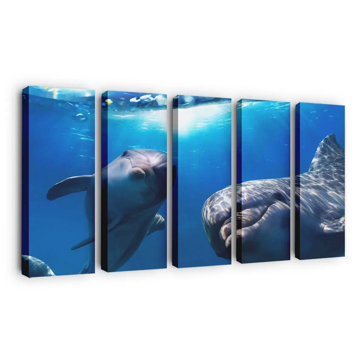 Verspielte Delfine unter Wasser – Delfin Wandbild