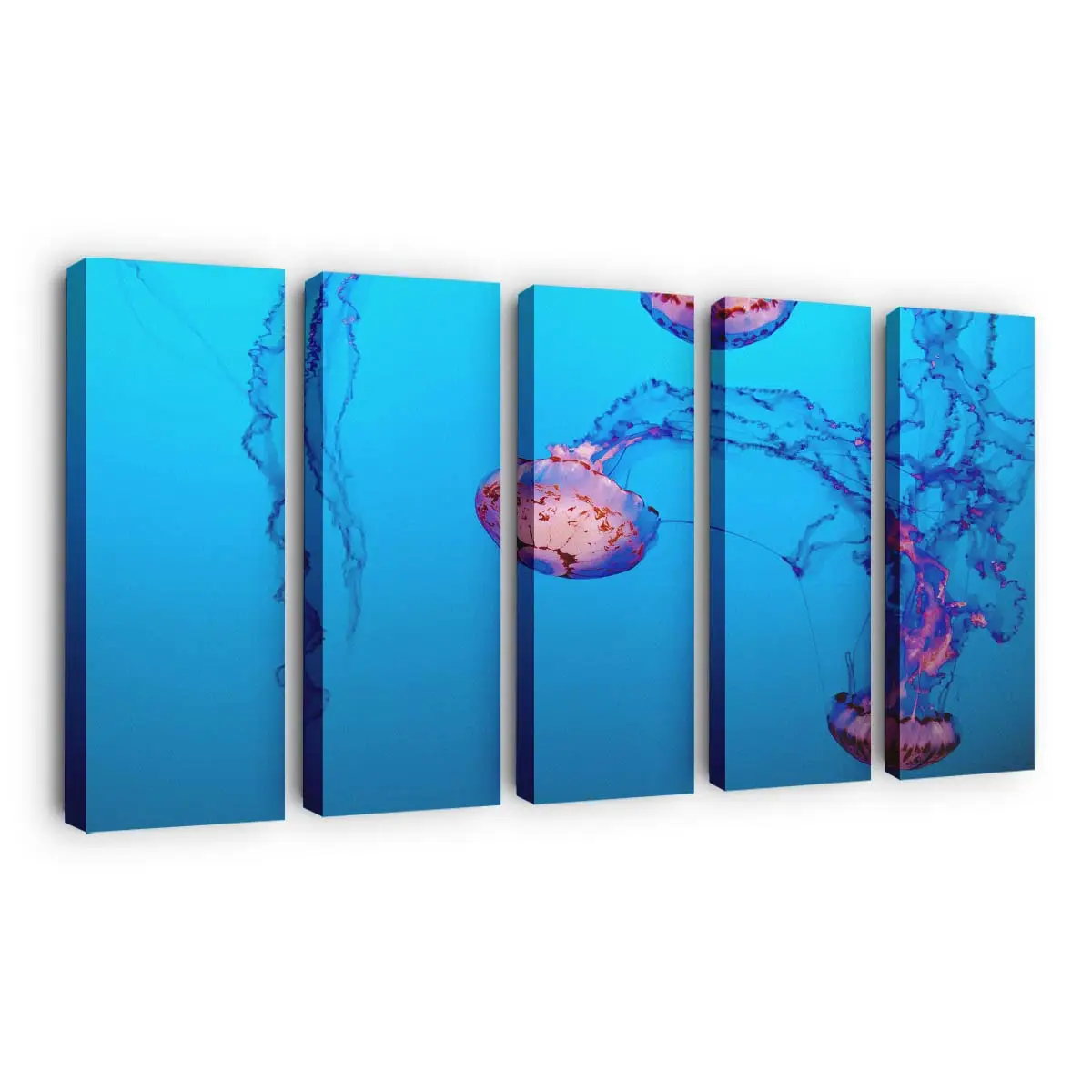 Violett gestreifte Qualle unter Wasser – Quallen Wandbild