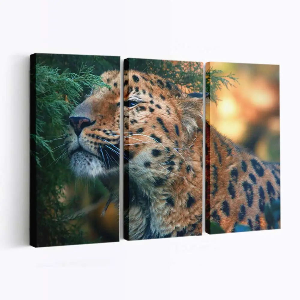 Amur-leopardenjunges auf einem Ast – Leopard Leinwandbild