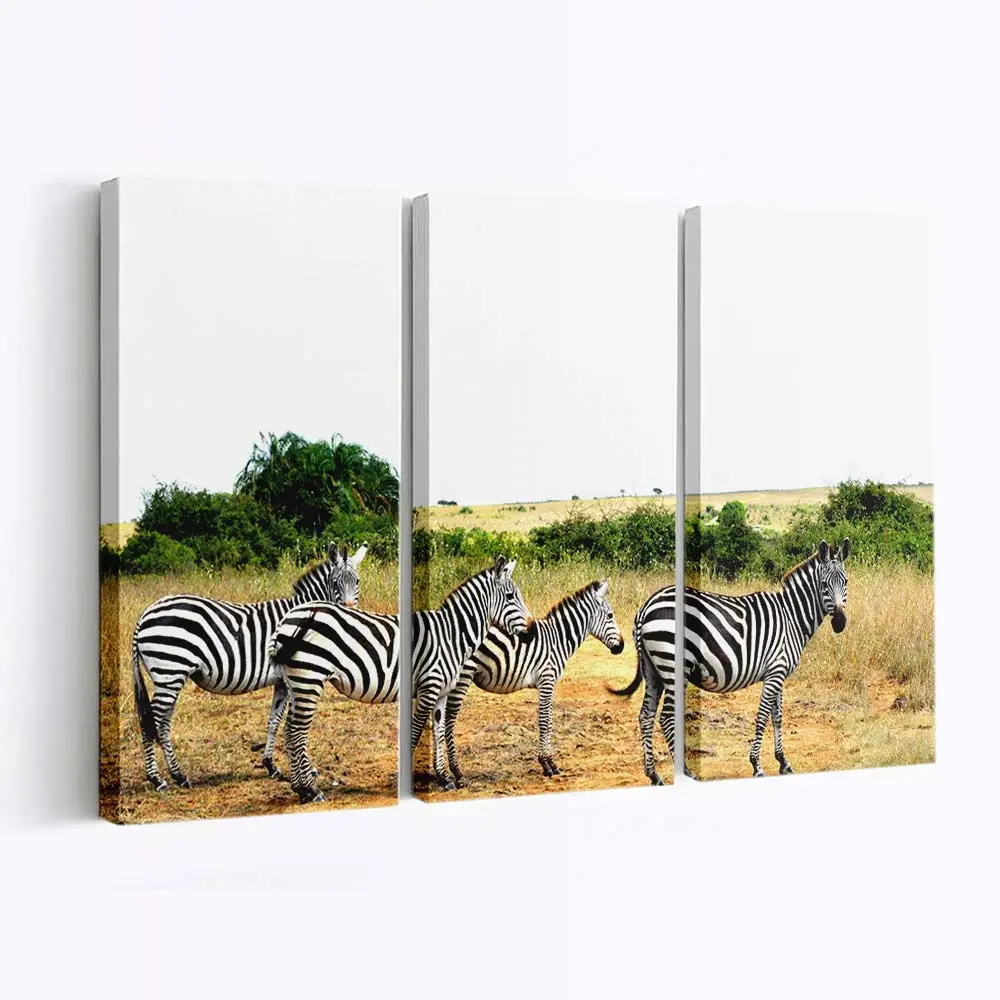 Aufgereihte Zebras in der Savanne – Zebra Leinwandbild