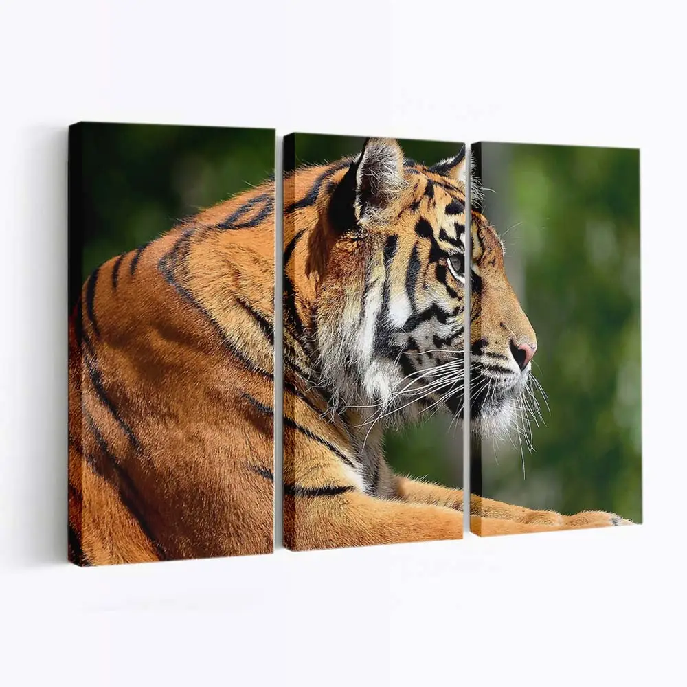 Bengaltiger im Profil – Tiger Leinwandbild