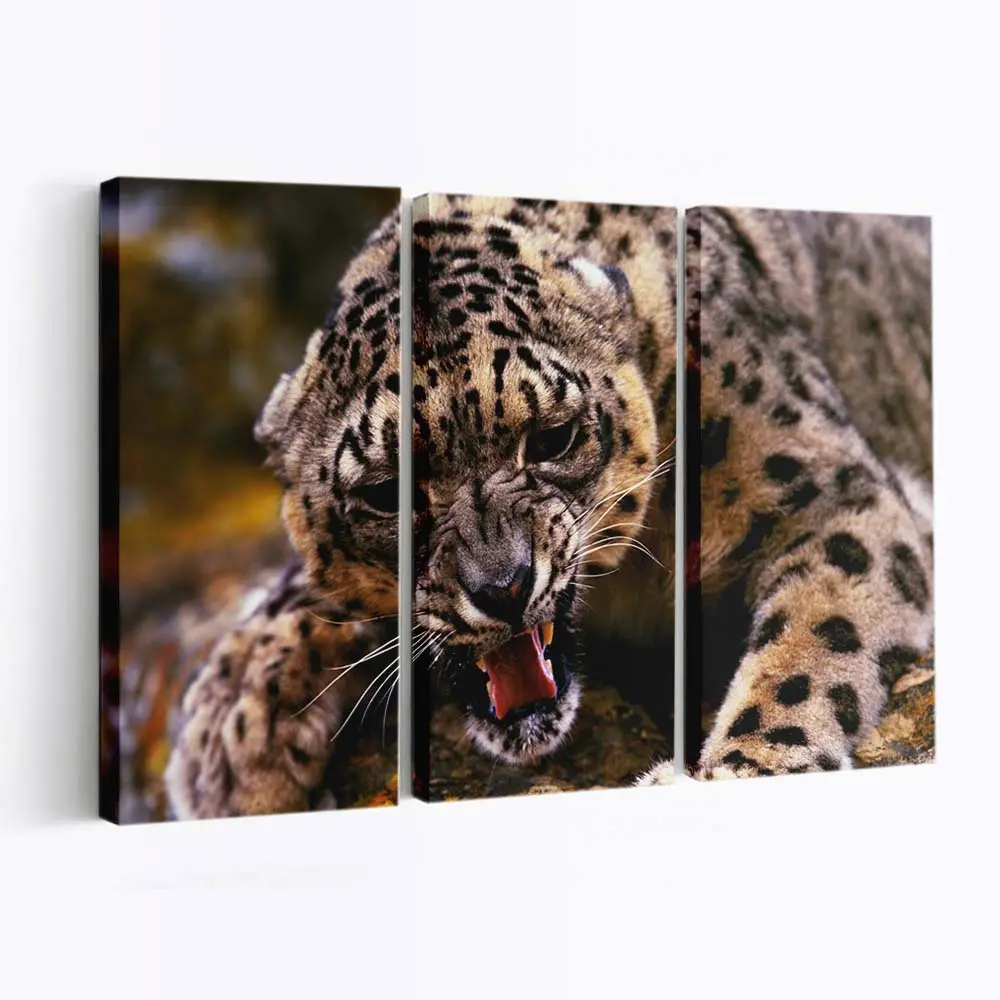 Brllender Gepard in der Savanne – Gepard Leinwandbild