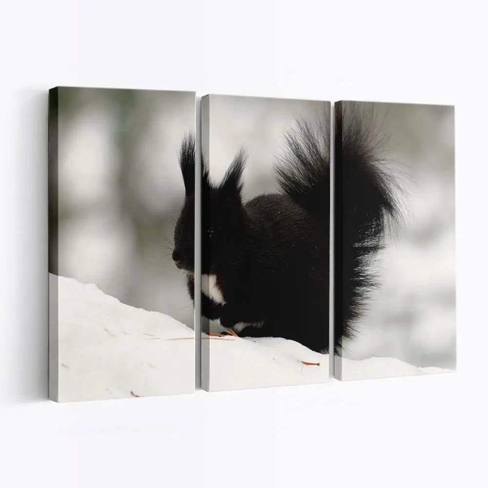 Dunkles Eichhörnchen auf einem Ast – Eichhörnchen Leinwandbild