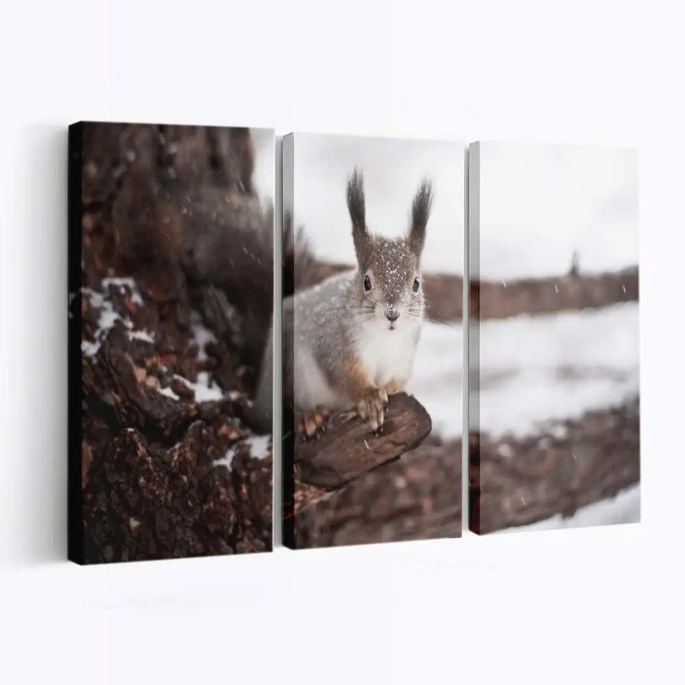 Eichhörnchen im Winterschnee – Eichhörnchen Leinwandbild