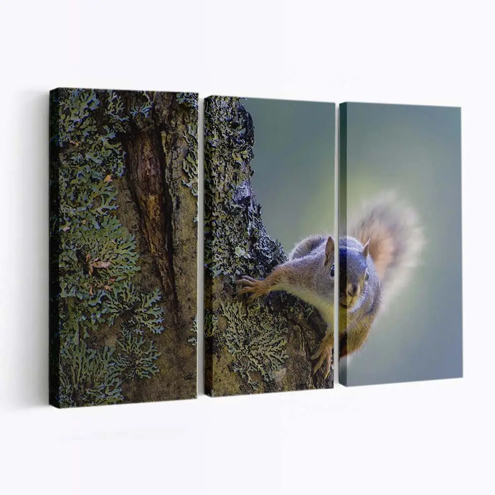 Eichhörnchen Klettert auf Einen Baum – Eichhörnchen Leinwandbild