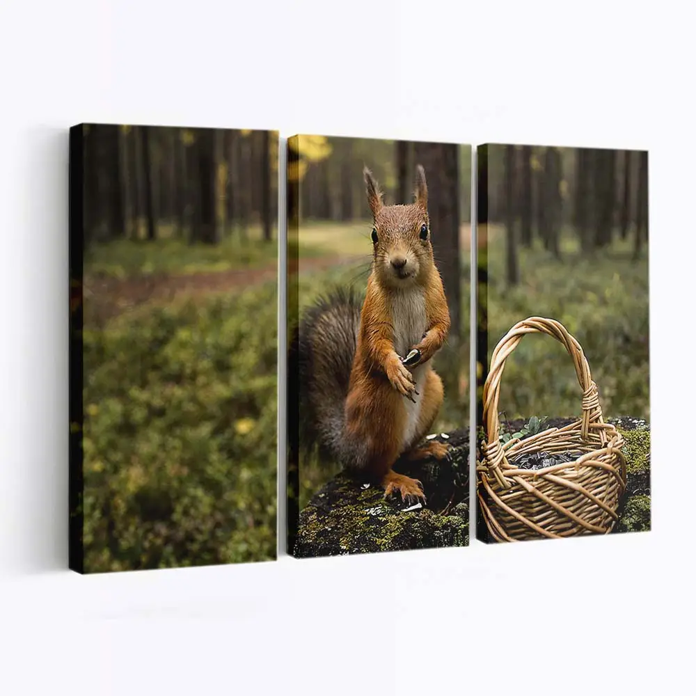 Eichhörnchen mit Eicheln – Eichhörnchen Leinwandbild