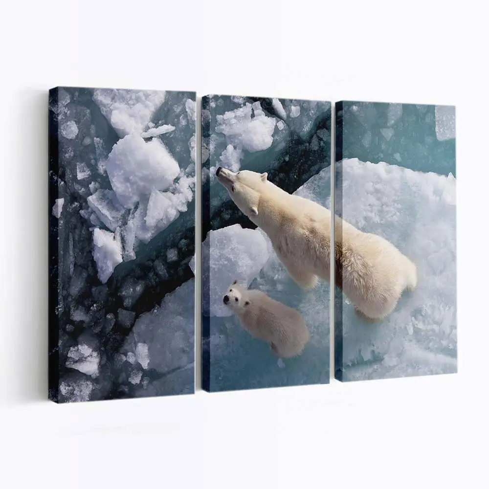 Eisbär und Globale Erwärmung – Eisbär Leinwandbild