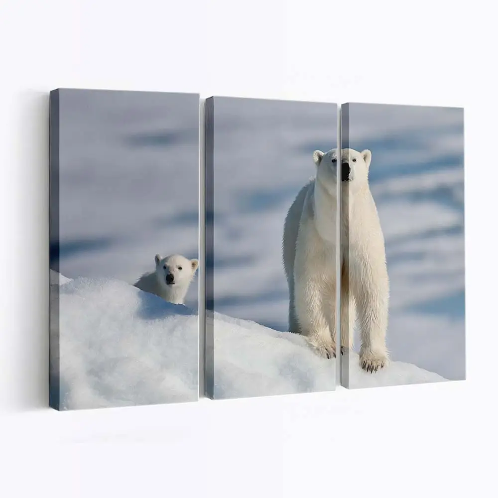 Eisbärenmutter mit Jungem in der Arktis – Eisbär Leinwandbild