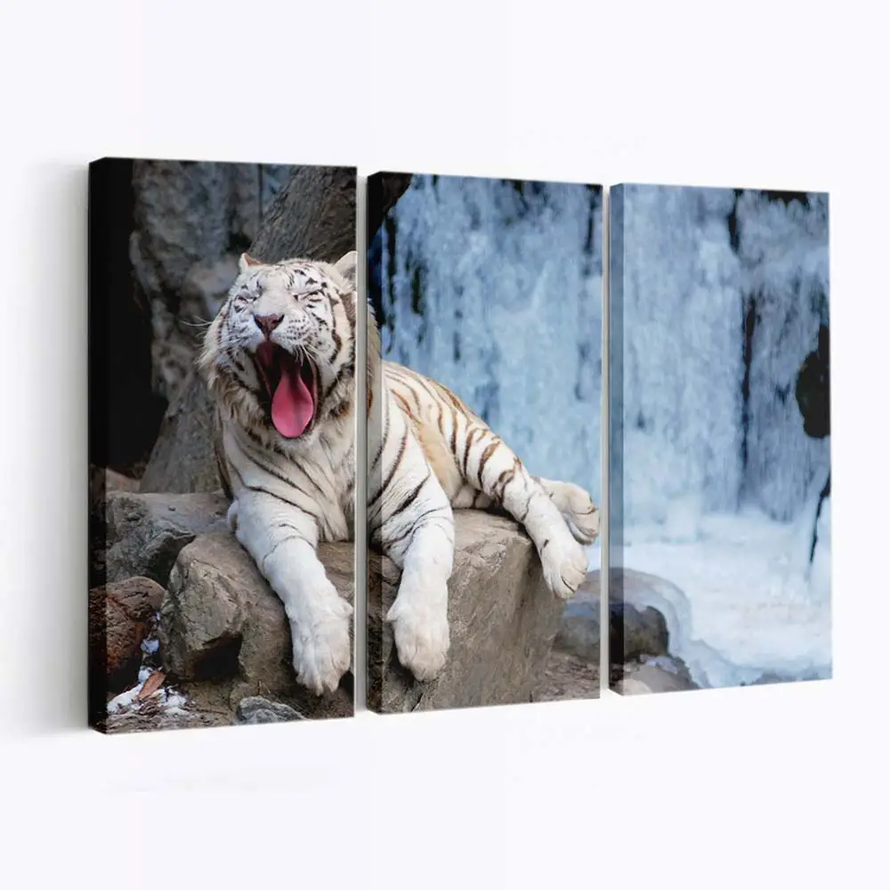 Gähnender Tiger in Nahaufnahme – Tiger Leinwandbild