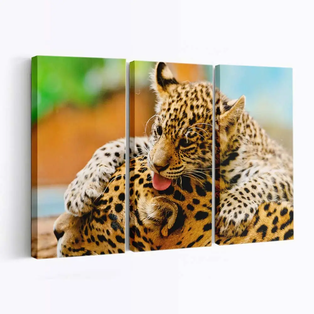 Jaguarjunges und Mutter ruhen – Jaguar Leinwandbild