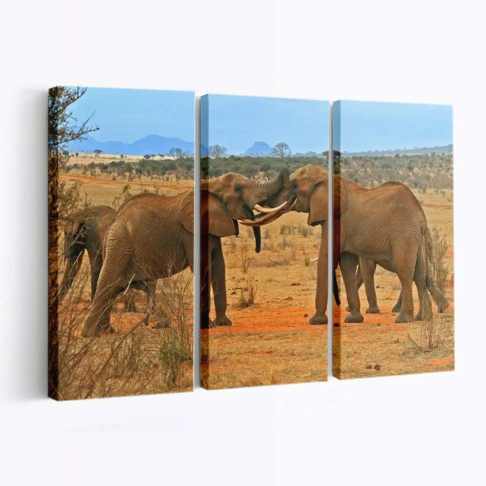 Kämpfende Elefanten in der afrikanischen Savanne – Elefanten Leinwandbild