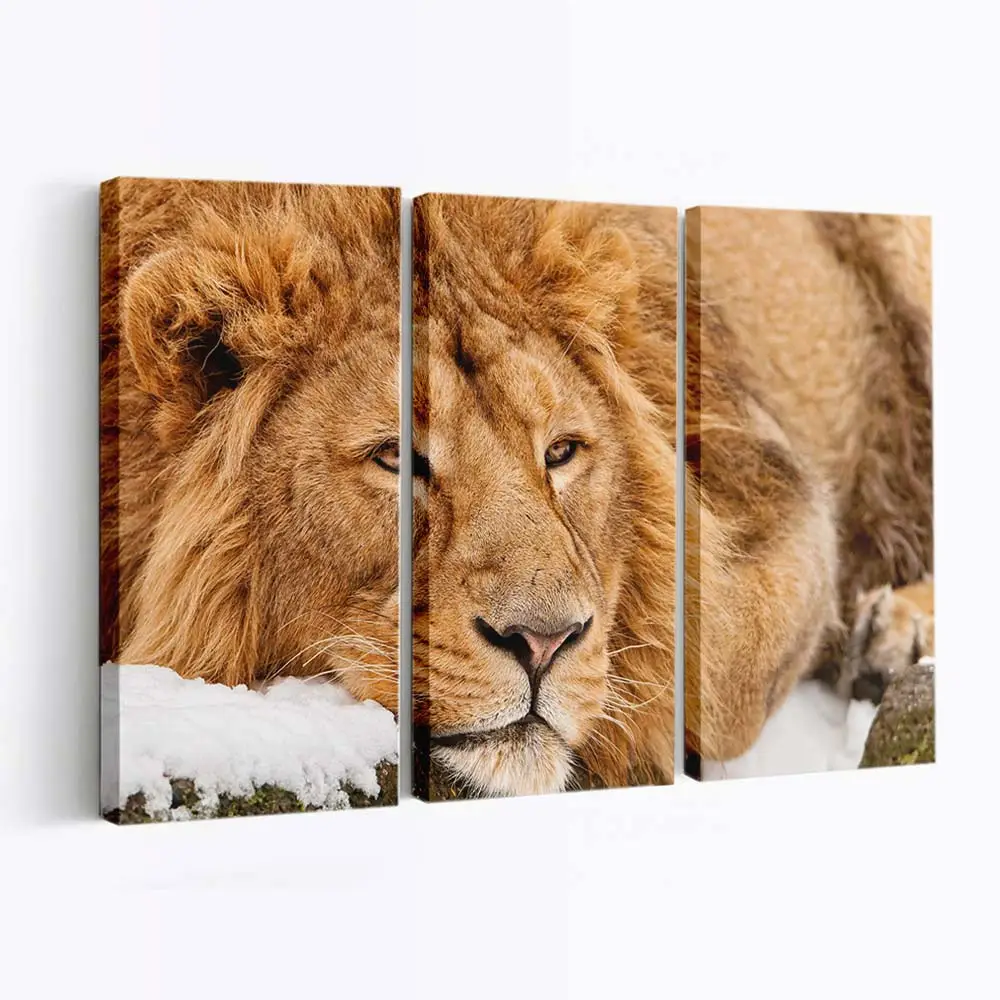 Müdes Wildtier ruht – Wildtier Wandbild