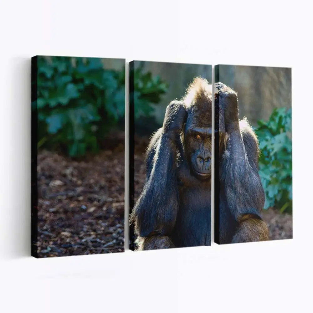 Misstrauischer Wildtierblick – Wildtier Leinwandbild