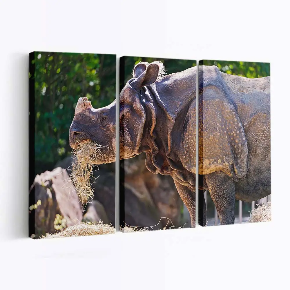 Nashorn frisst Gras in der Savanne – Nashorn Leinwandbild