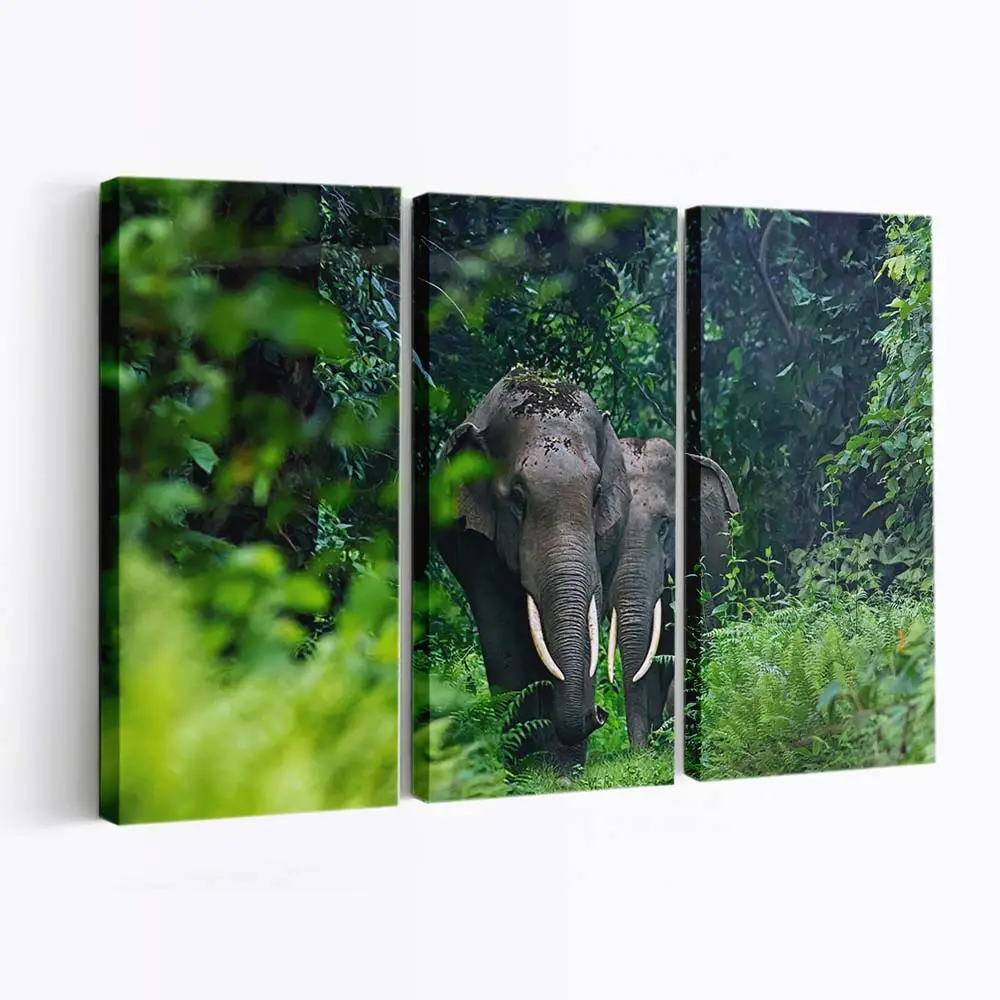 Natur- und Wildtierlandschaft – Wildtier Leinwandbild