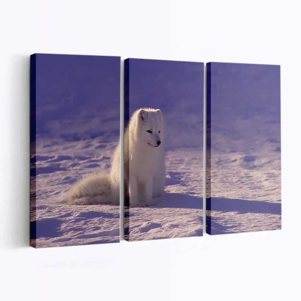 Polarfuchs im Winterschnee – Fuchs Leinwandbild