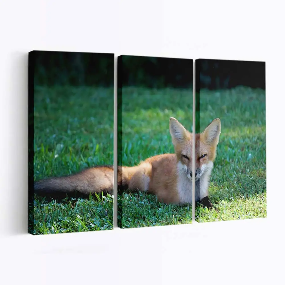 Rotfuchs im Schnee – Fuchs Leinwandbild