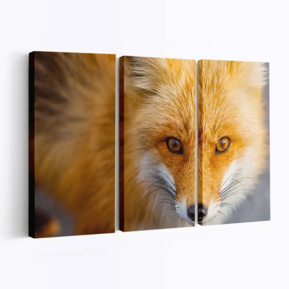 Rotfuchs in Nahaufnahme – Fuchs Leinwandbild