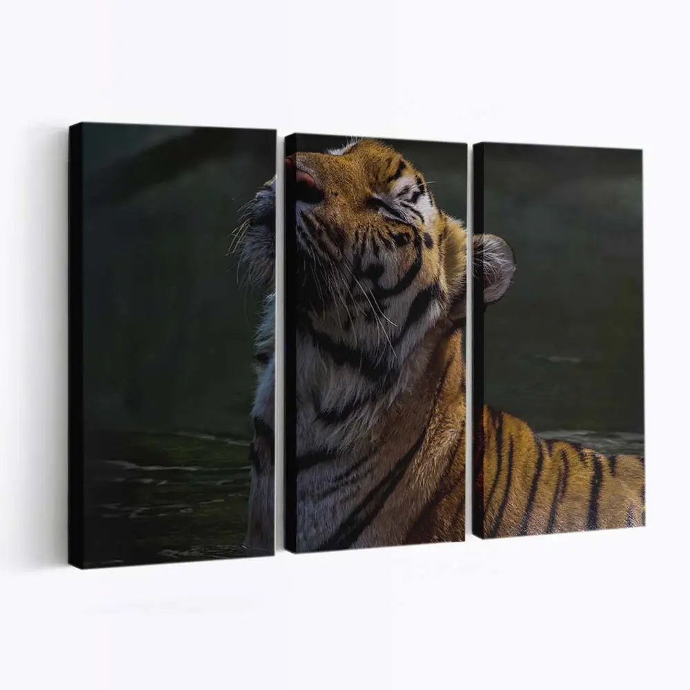 Ruhender Tiger im Dschungel – Tiger Leinwandbild