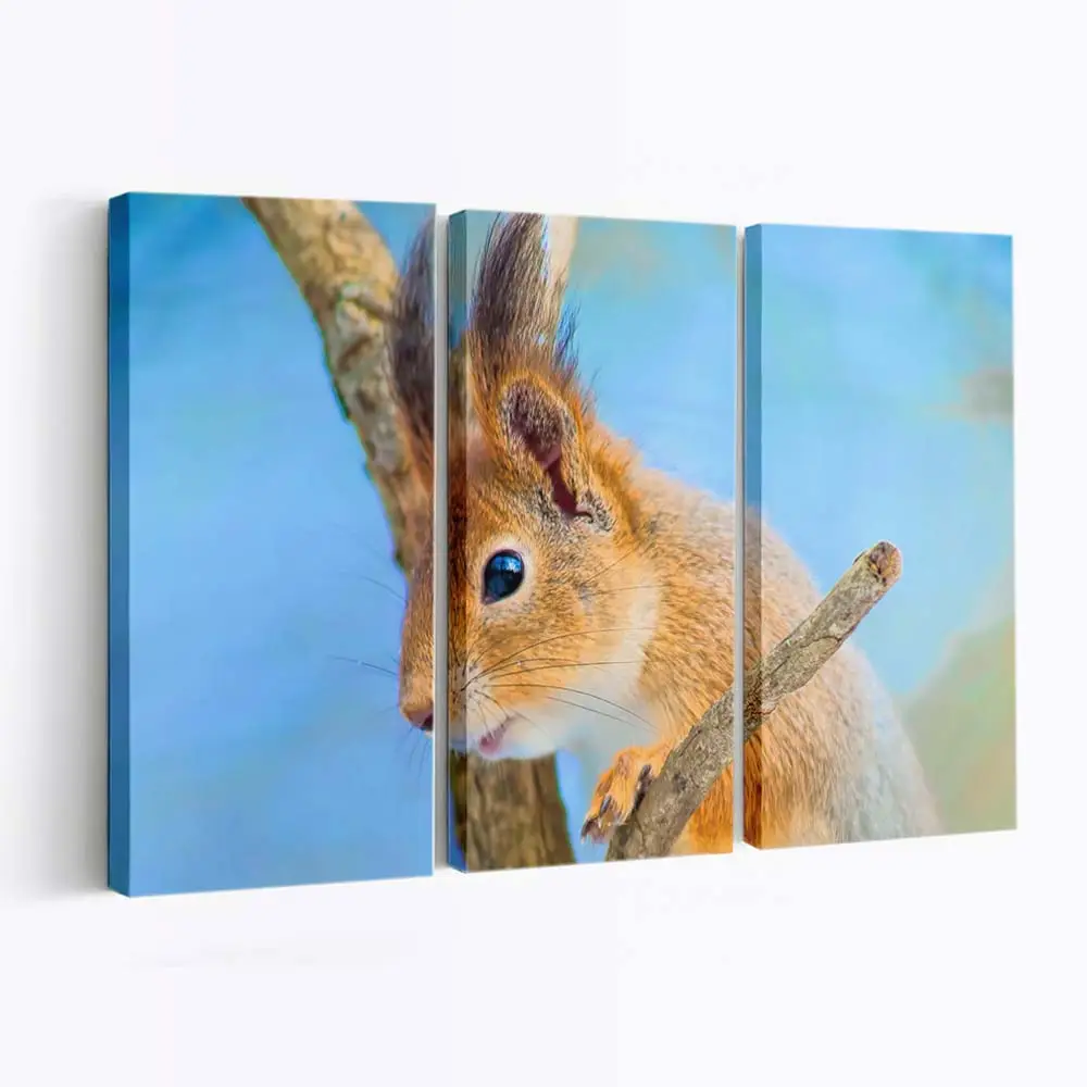 Süßes Tierporträt – Wildtier Wandbild