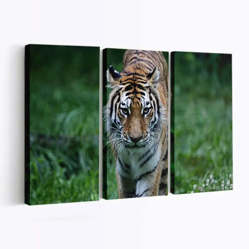 Tiger auf der Jagd im Wald – Tiger Leinwandbild