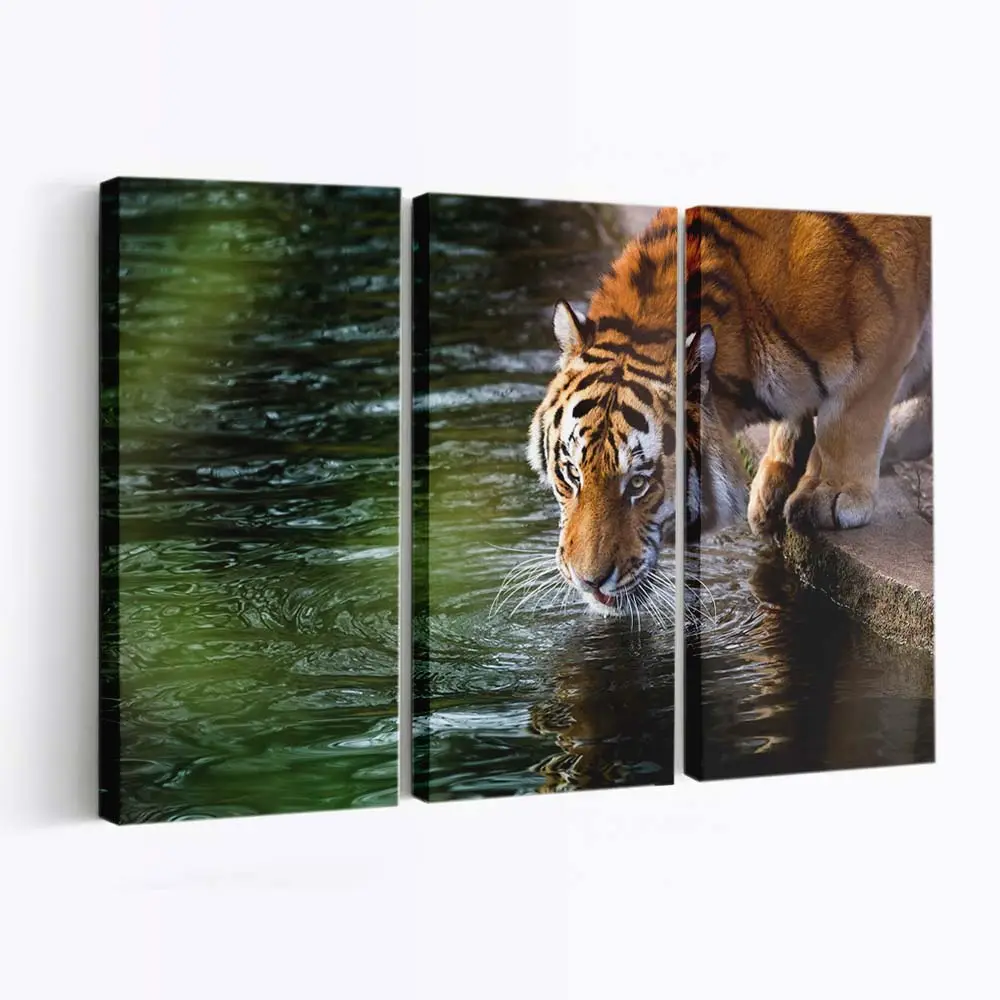 Tiger trinkt am Fluss – Tiger Leinwandbild