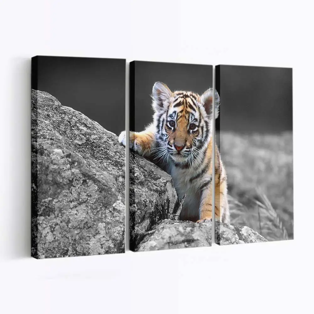 Tigerjunges im Gras – Tiger Leinwandbild