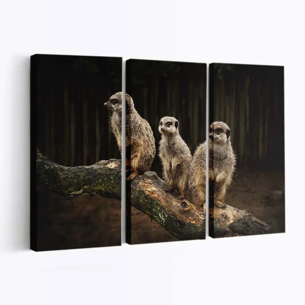 Wachsame Erdmännchen-familie – Erdmännchen Leinwandbild