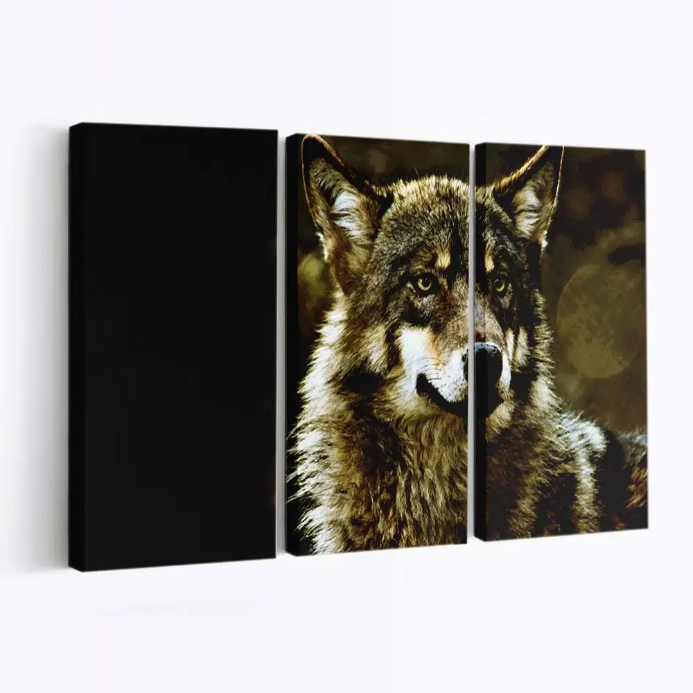 Wolf in Nahaufnahme – Wolf Leinwandbild