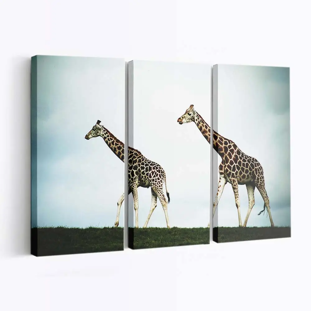 Zwei Giraffen in der Savanne – Giraffen Leinwandbild