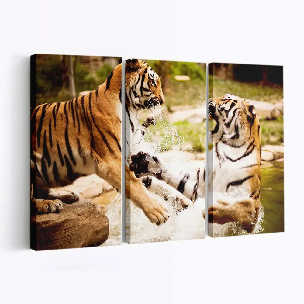Zwei Tiger kämpfen im Wasser – Tiger Leinwandbild