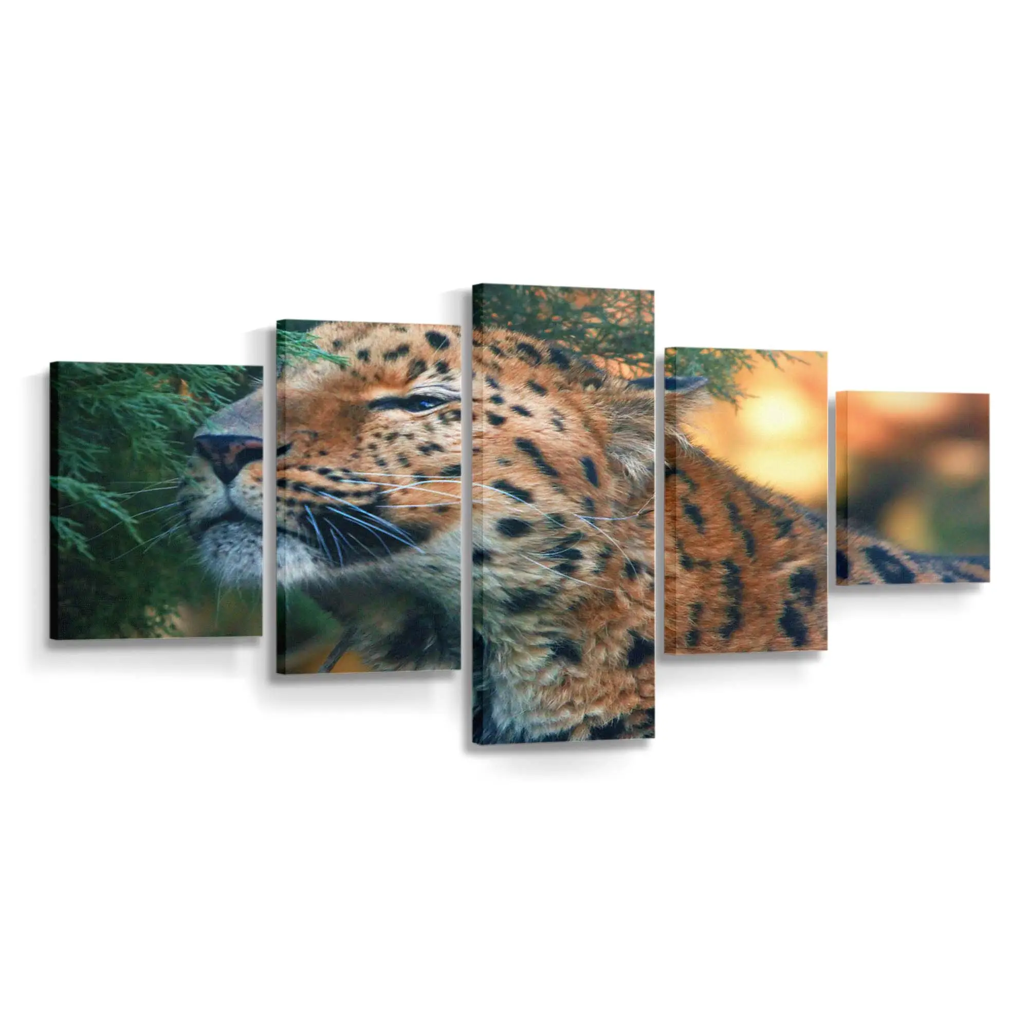 Amur-leopardenjunges auf einem Ast – Leopard Leinwandbild