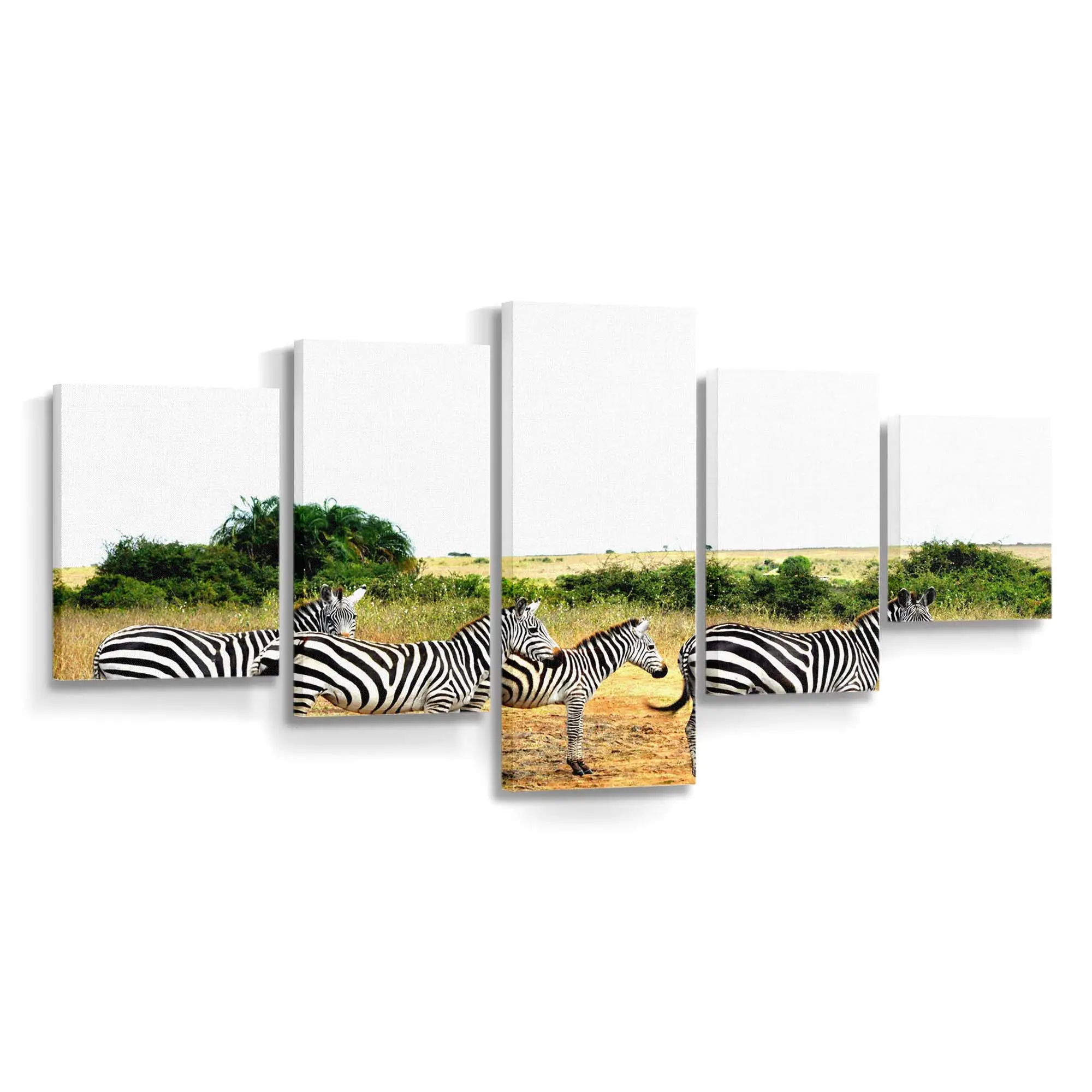 Aufgereihte Zebras in der Savanne – Zebra Leinwandbild