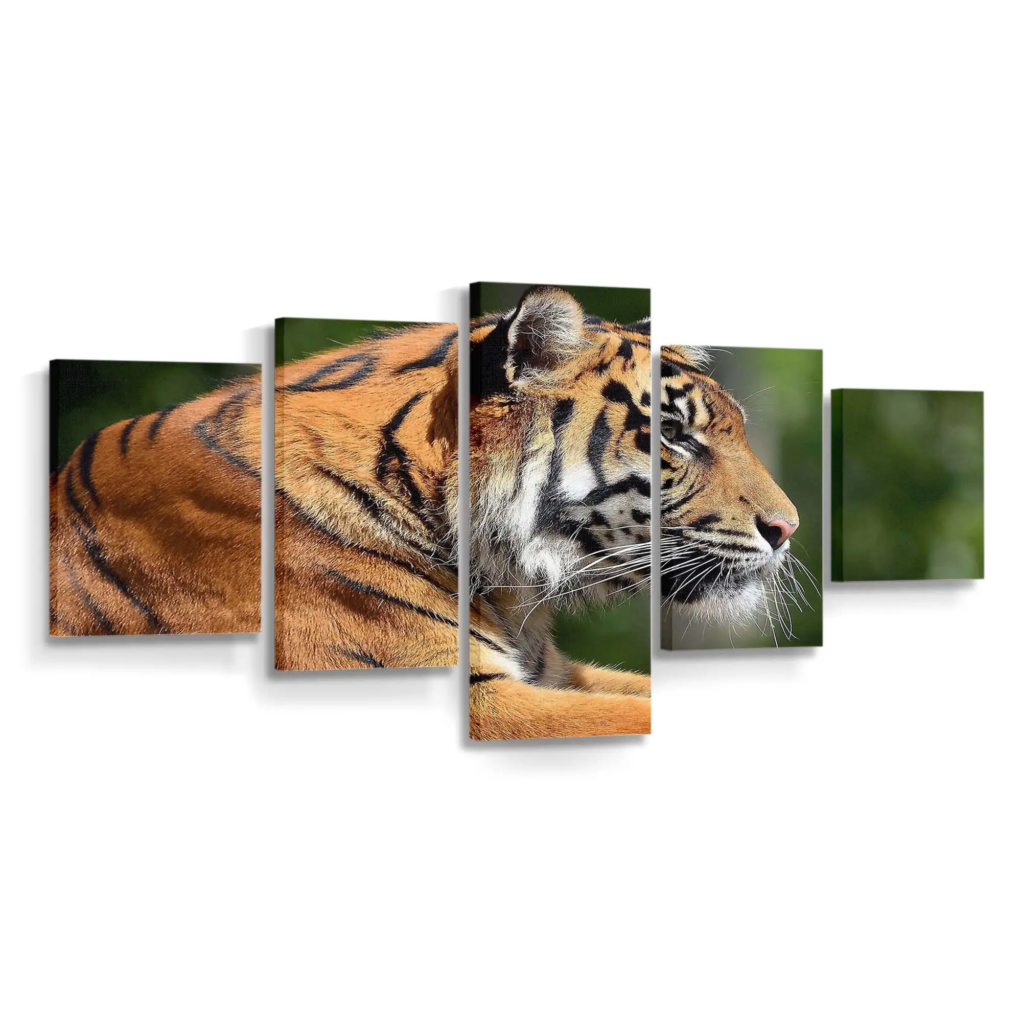 Bengaltiger im Profil – Tiger Leinwandbild