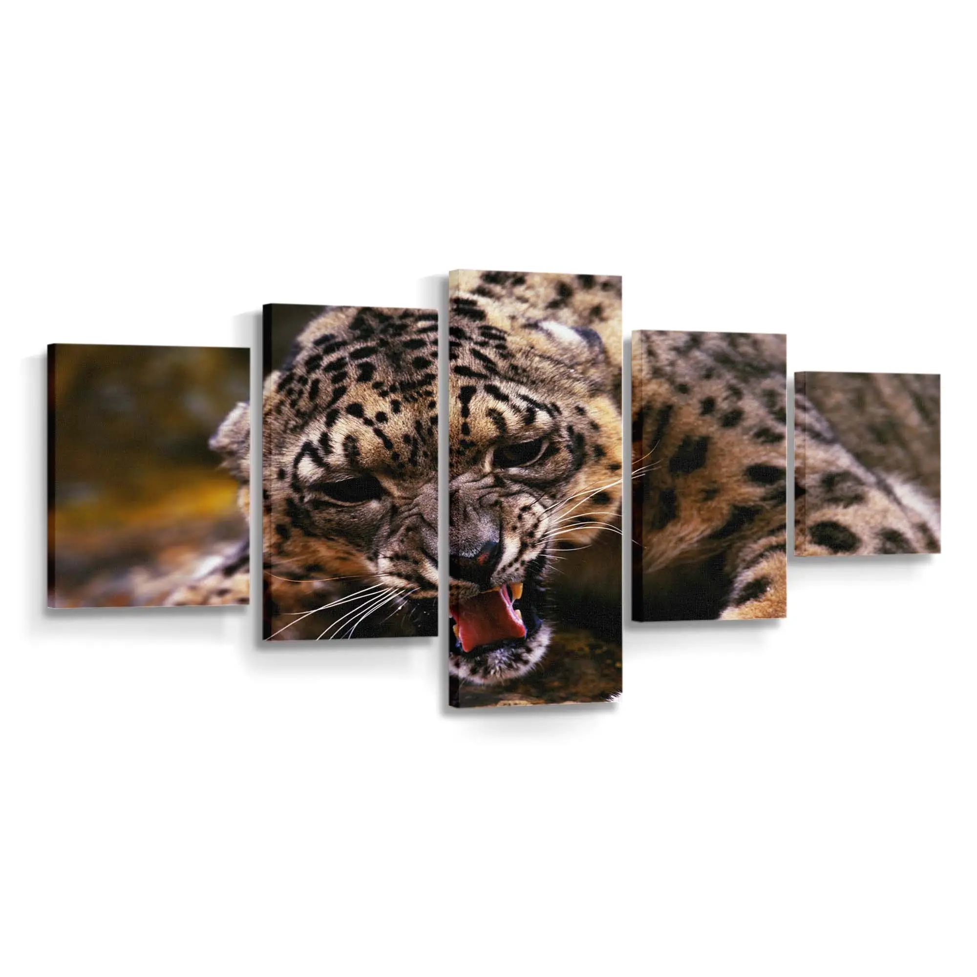 Brllender Gepard in der Savanne – Gepard Leinwandbild