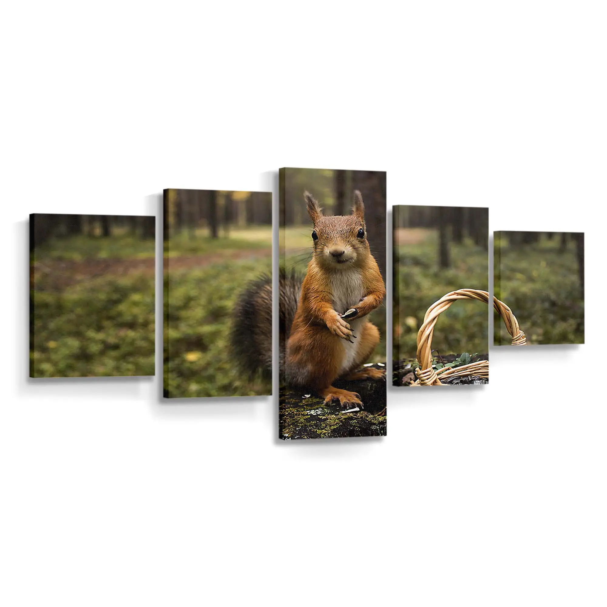 Eichhörnchen mit Eicheln – Eichhörnchen Leinwandbild