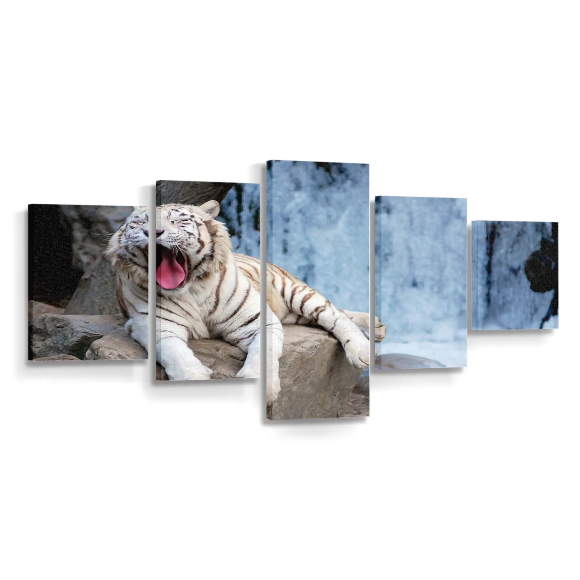 Gähnender Tiger in Nahaufnahme – Tiger Leinwandbild