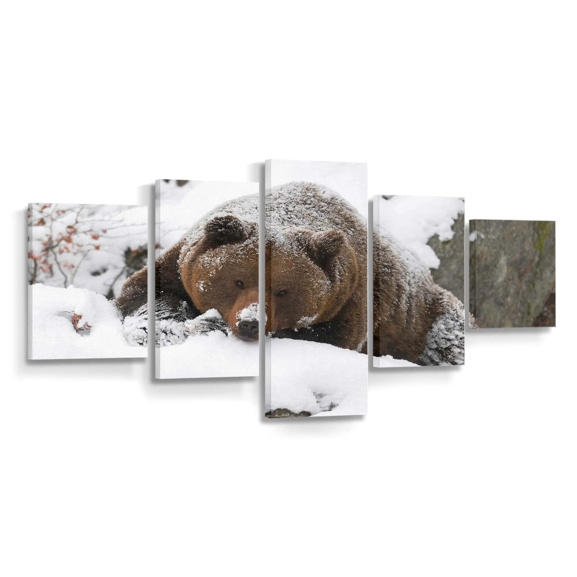Grizzlybär spaziert im Schnee – Bären Leinwandbild