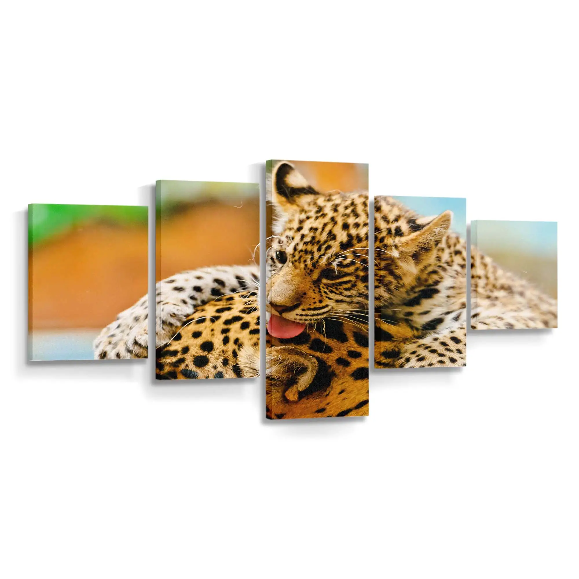 Jaguarjunges und Mutter ruhen – Jaguar Leinwandbild