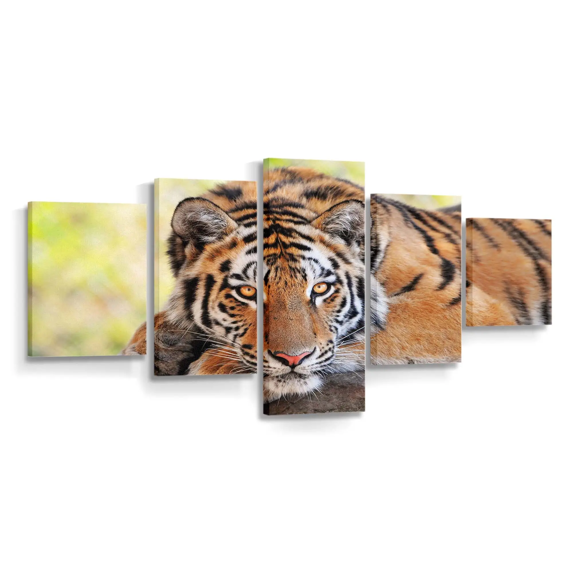 Junger Tiger im Dschungel – Tiger Leinwandbild