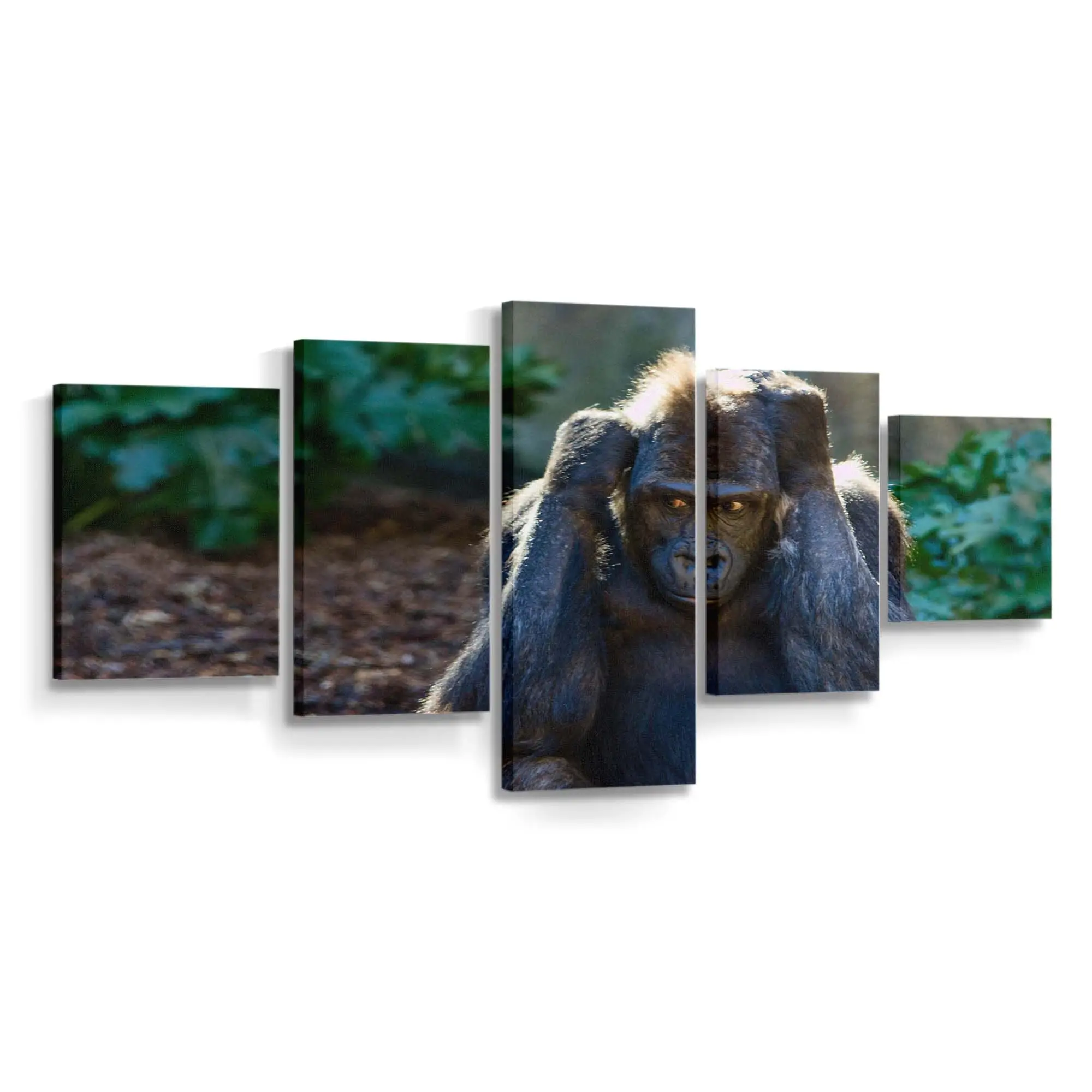 Misstrauischer Wildtierblick – Wildtier Leinwandbild