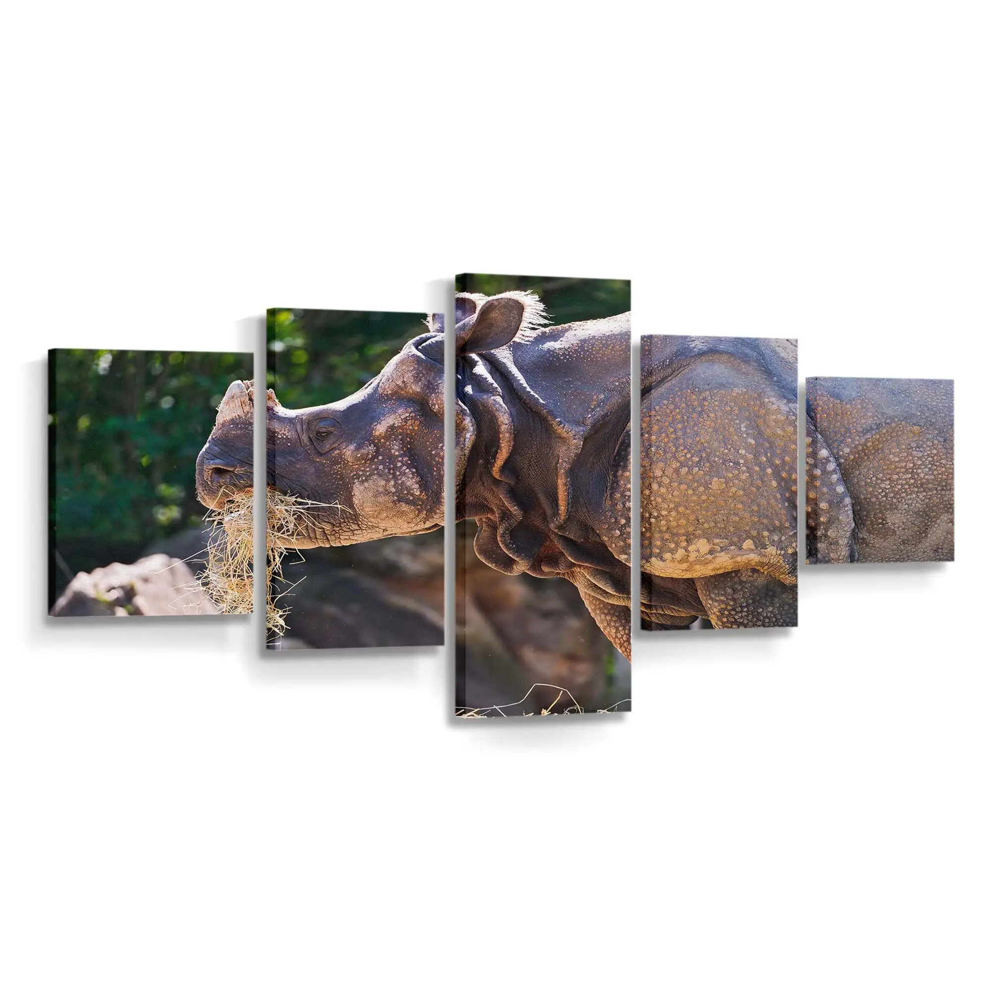 Nashorn frisst Gras in der Savanne – Nashorn Leinwandbild