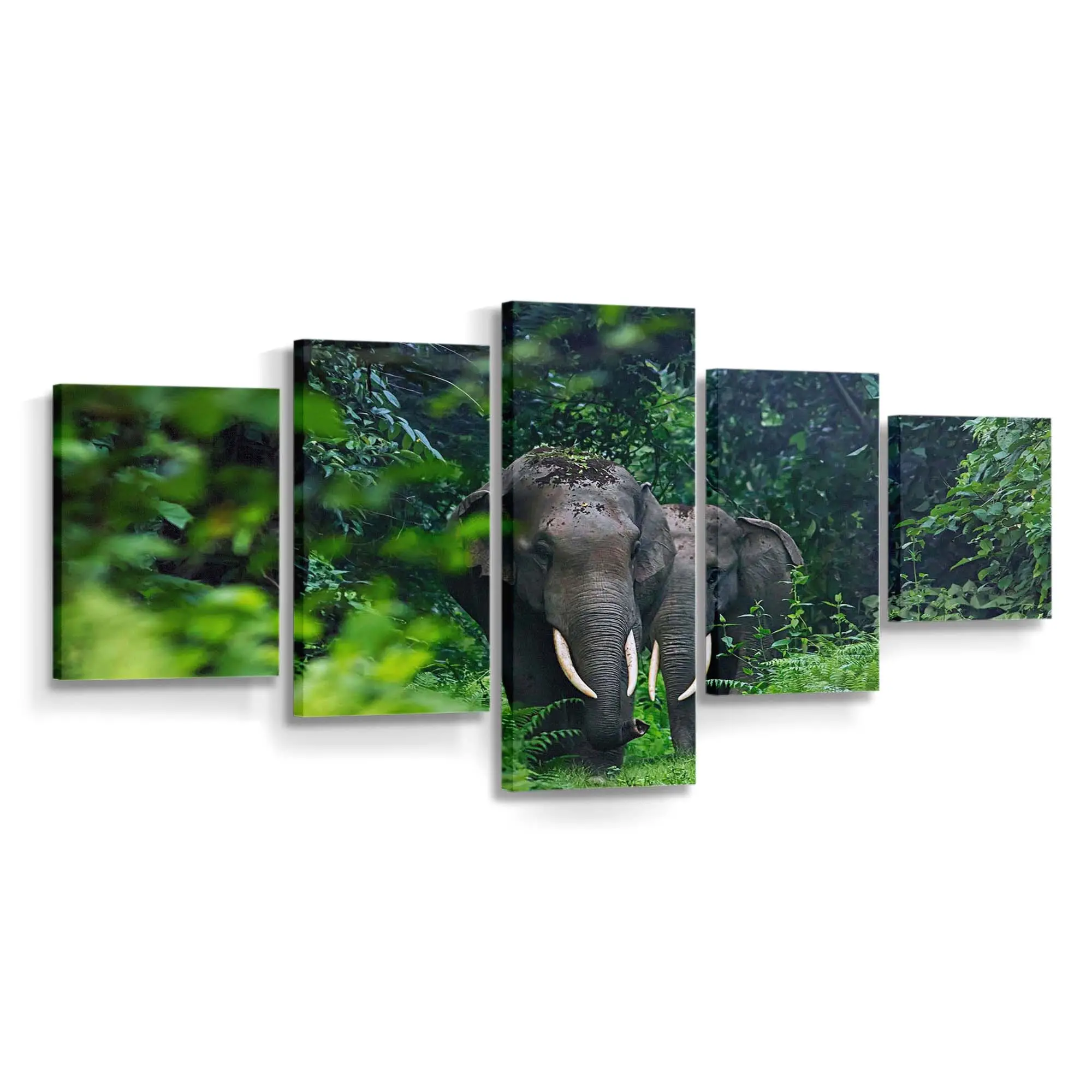 Natur- und Wildtierlandschaft – Wildtier Leinwandbild
