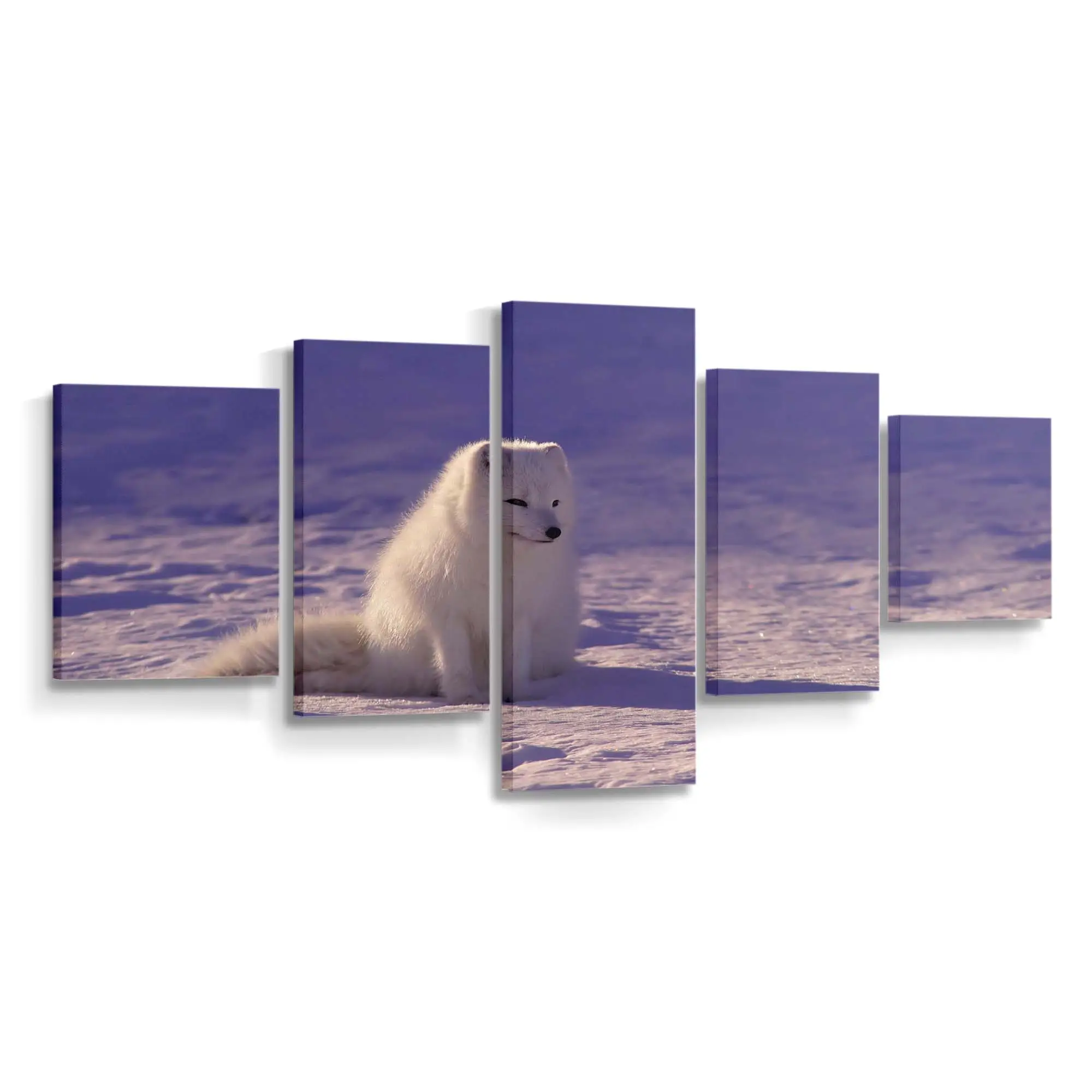 Polarfuchs im Winterschnee – Fuchs Leinwandbild